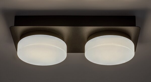 Rabalux 75002 - LED Stropní koupelnové svítidlo ATTICHUS 2xLED/5,5W/230V IP44