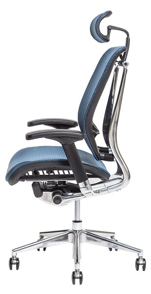Kancelářská ergonomická židle LACERTA — více barev, nosnost 150 kg Antracit