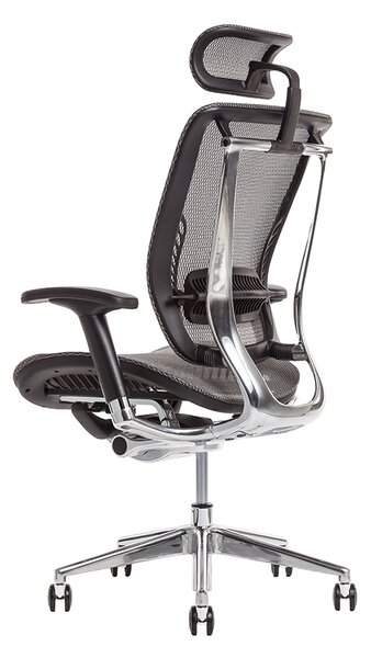 Kancelářská ergonomická židle LACERTA — více barev, nosnost 150 kg Antracit