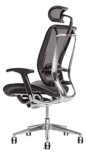 Kancelářská ergonomická židle LACERTA — více barev, nosnost 150 kg Antracit