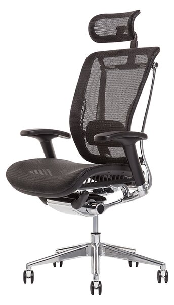 Kancelářská ergonomická židle LACERTA — více barev, nosnost 150 kg Antracit