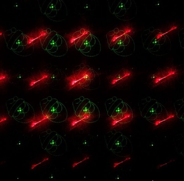 DLED LL02 DECOLED Laserové vánoční osvětlení, různé motivy