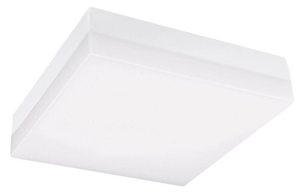 LED Koupelnové stropní svítidlo LED/12W/230V 3000/4000/6000K 22x22 cm IP44