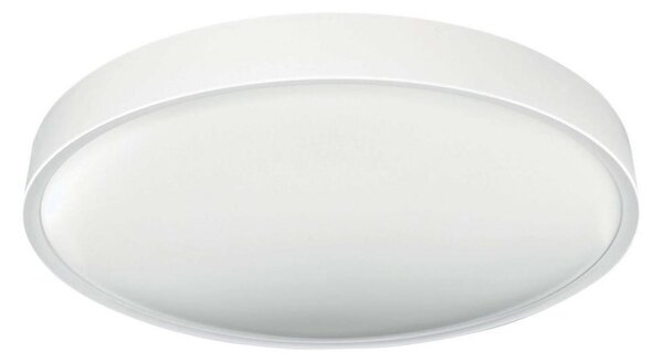 LED Stropní svítidlo SAMER LED/24W/230V 4000K