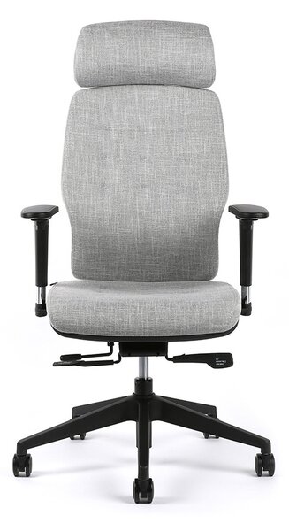 Kancelářská ergonomická židle SELENE — více barev Černá F91