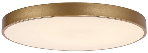 Rabalux 71038 -LED Stmívatelné stropní svítidlo TESIA LED/60W/230V 3000-6000K+DO