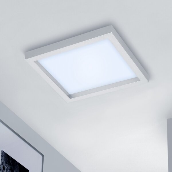 Briloner 7370-014 - LED Stmívatelné stropní svítidlo LED/18W/230V 3000-6500K+ DO