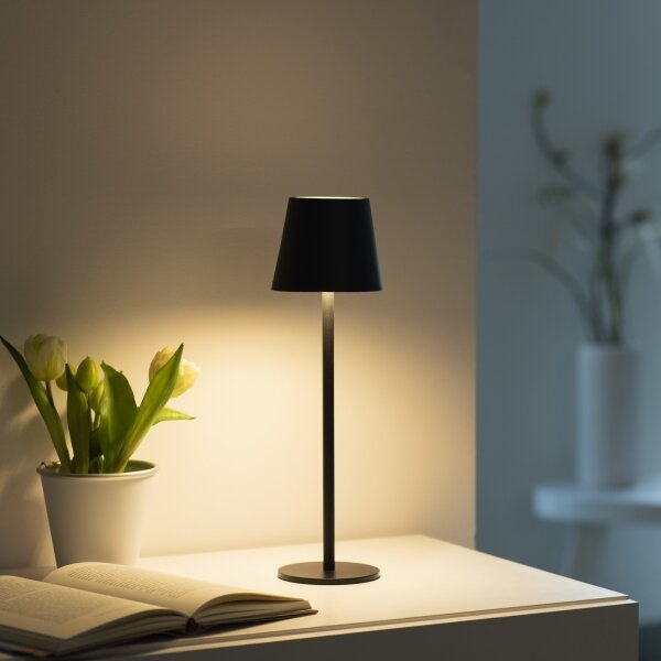 Leuchten Direkt19250-18-LED Venkovní nabíjecí lampa EURIA LED/3W/5V IP54 černá