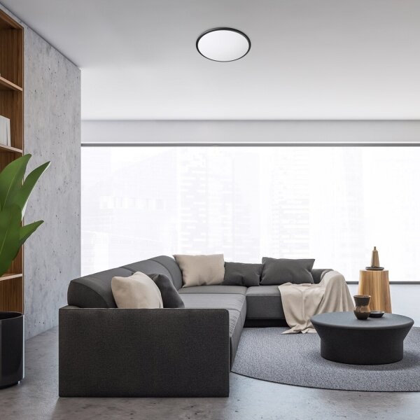 Rabalux 71128 - LED Stropní svítidlo ENGON LED/24W/230V 3000K černá 38 cm