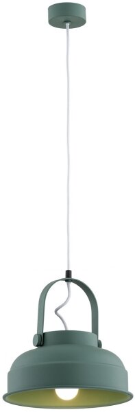 Argon 8287 - Lustr na lanku DAKOTA 1xE27/15W/230V zelená