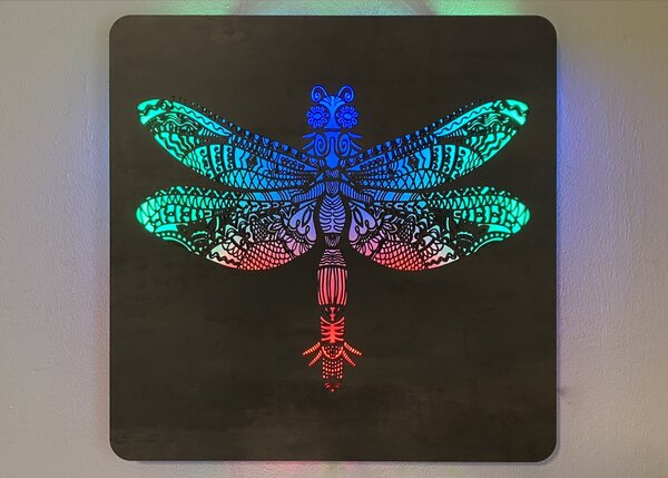 "Vážka" světelný obraz RGB 230V 62x62cm provedení povrchu: dub světlý
