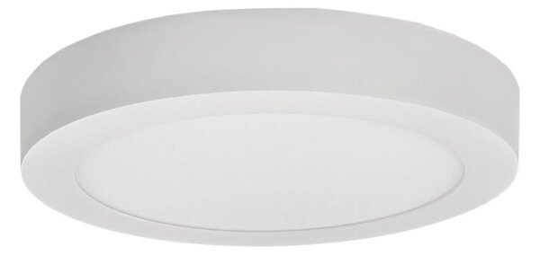 LED Stropní svítidlo FENIX LED/12W/230V 2800K pr. 17 cm