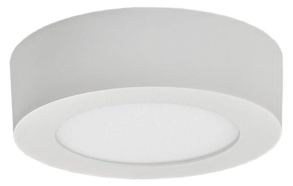 LED Stropní svítidlo FENIX LED/6W/230V 2800K pr. 12 cm