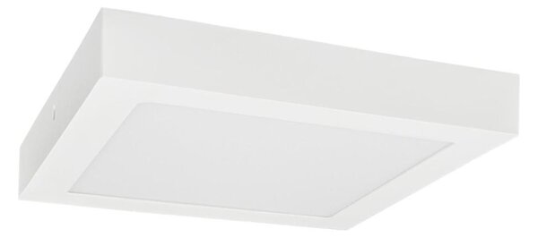LED Stropní svítidlo FENIX LED/12W/230V 3800K 17 cm sněhově bílá