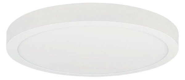 LED Stropní svítidlo FENIX LED/32W/230V 3800K pr. 40 cm sněhově bílá