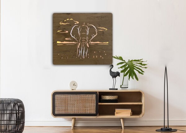 "Slon" světelný obraz 230V 65x55cm provedení povrchu: dub světlý