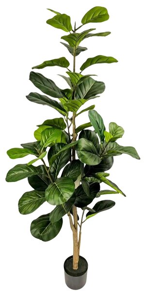 Umělý Ficus Lyrata 170 cm (Super Saver) - 151 - 180 cm