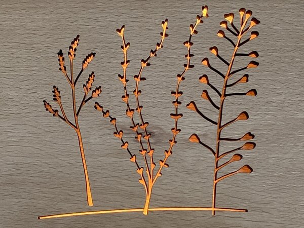 "Kokoška" lampa 19x19cm provedení povrchu: dub