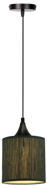 Lustr na lanku PATTI 1xE27/60W/230V pr. 15 cm zelená