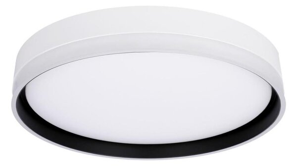 LED Stropní svítidlo FLORIDA LED/24W/230V bílá