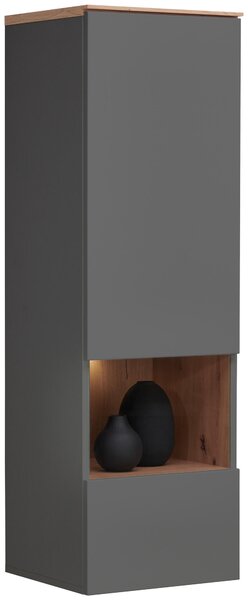 ZÁVĚSNÁ VITRÍNA, barvy grafitu, dub artisan, 40/126/37 cm Hom`in - Závěsné vitríny