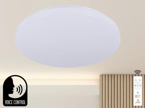 LED Stmívatelné stropní svítidlo s hlasovým ovládáním OPAL LED/48W/230V + DO
