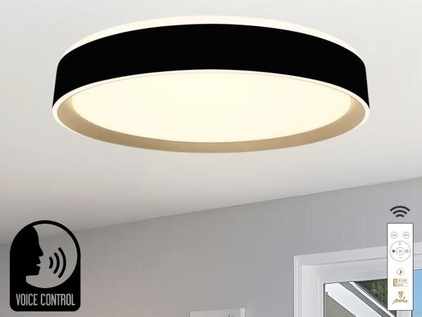 LED Stmívatelné stropní svítidlo s hlasovým ovládáním OPAL LED/48W/230V + DO