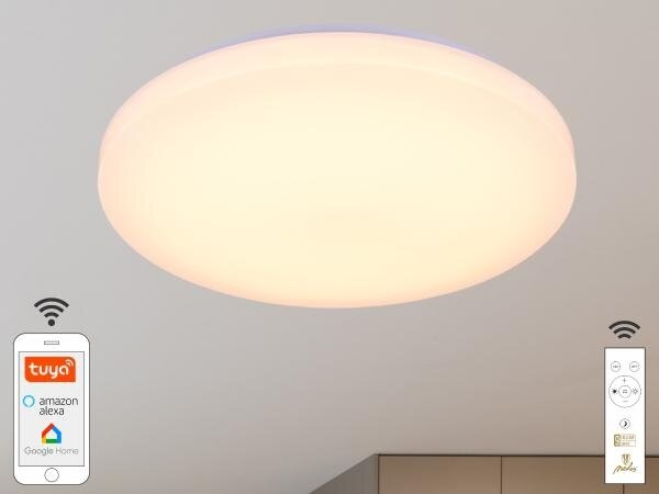 LED Stmívatelné stropní svítidlo OPAL LED/48W/230V Wi-Fi Tuya + DO