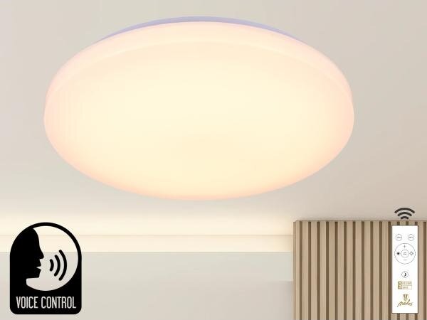 LED Stmívatelné stropní svítidlo s hlasovým ovládáním OPAL LED/48W/230V + DO