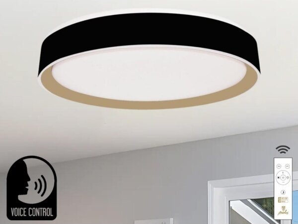 LED Stmívatelné stropní svítidlo s hlasovým ovládáním OPAL LED/48W/230V + DO