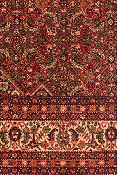 Běhoun Dywilan Polonia Wawelský Burgund Šíře: 83 cm