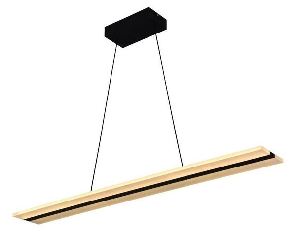 LED Stmívatelný lustr na lanku LED/40W/230V 3000-6500K černá + dálkové ovládání