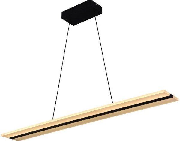 LED Stmívatelný lustr na lanku LED/40W/230V 3000-6500K černá + dálkové ovládání
