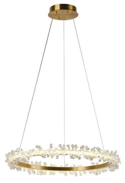 LED Stmívatelný lustr na lanku LED/40W/230V 3000-6500K zlatá + dálkové ovládání