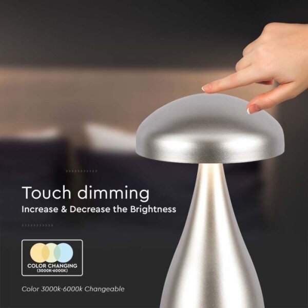 LED Stmívatelná dobíjecí stolní lampa LED/1W/5V 3000-6000K 1800 mAh stříbrná