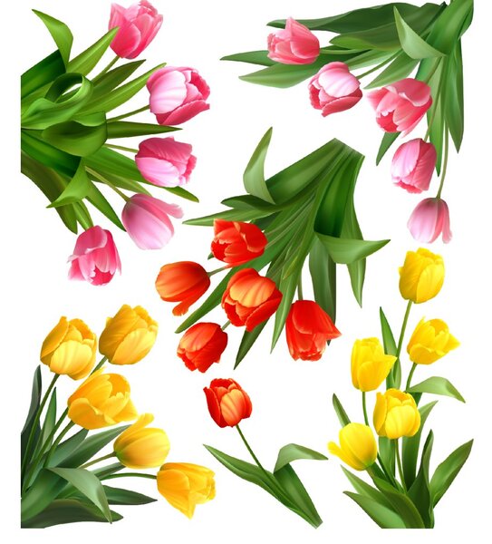 PIPPER. Samolepka na zeď "Tulipány"