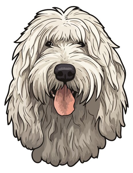 PIPPER. Nálepka Komondor Velikost: 60cm