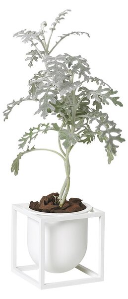 Květináč Kubus Flowerpot White 10 cm Audo Copenhagen