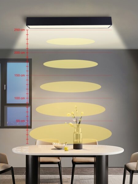 Immax NEO 07074-90-LED Stmívatelné stropní svítidlo CANTO 50W/230V černá Tuya+DO