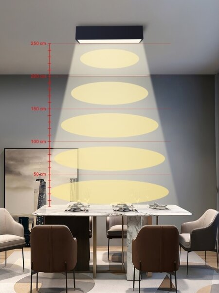 Immax NEO 07074-60-LED Stmívatelné stropní svítidlo CANTO 34W/230V černá Tuya+DO