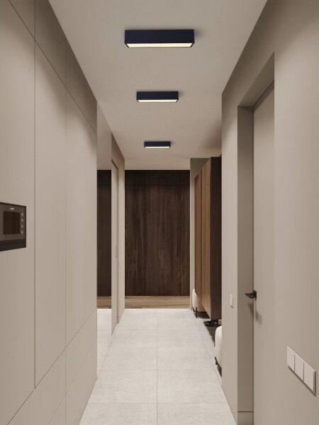 Immax NEO 07074-60-LED Stmívatelné stropní svítidlo CANTO 34W/230V černá Tuya+DO
