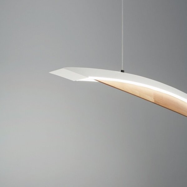 Fabas Luce 3697-40-102- LED Stmívatelný lustr na lanku CORDOBA LED/36W/230V bílá