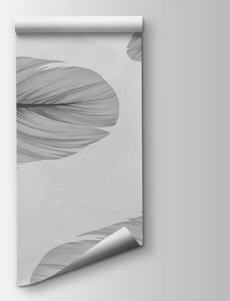 Fototapeta Skupina peří plovoucích ve vzduchu, Fototapety s pírky, Populární fototapety, t00929v1 - Tapeko.co.cz