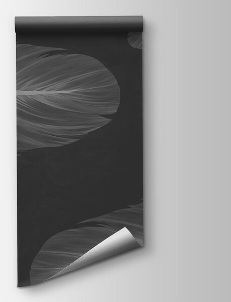 Fototapeta Skupina peří plovoucích ve vzduchu, Fototapety s pírky, Populární fototapety, t00929v2 - Tapeko.co.cz
