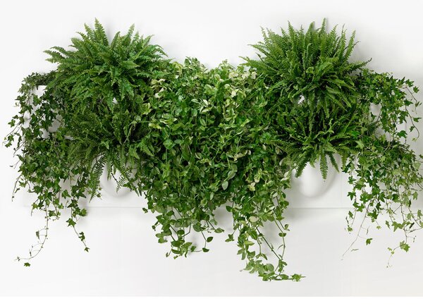 Nástěnný květináč VertiPlants BIO White 30 cm Verti Copenhagen