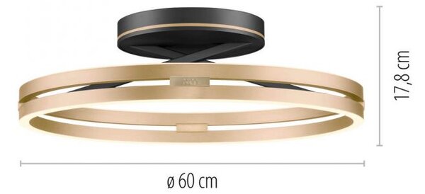 Paul Neuhaus Stropní LED svítidlo PURE Loop, pr.60cm, 7W+30W 2700-5000K, černá/zlatá slonová kost