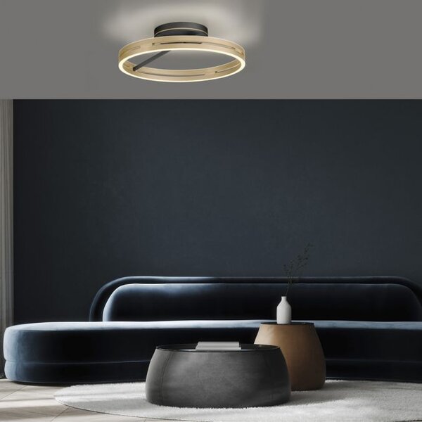 Paul Neuhaus Stropní LED svítidlo PURE Loop, pr.60cm, 7W+30W 2700-5000K, černá/zlatá slonová kost