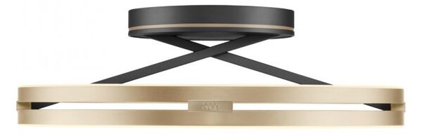 Paul Neuhaus Stropní LED svítidlo PURE Loop, pr.60cm, 7W+30W 2700-5000K, černá/zlatá slonová kost