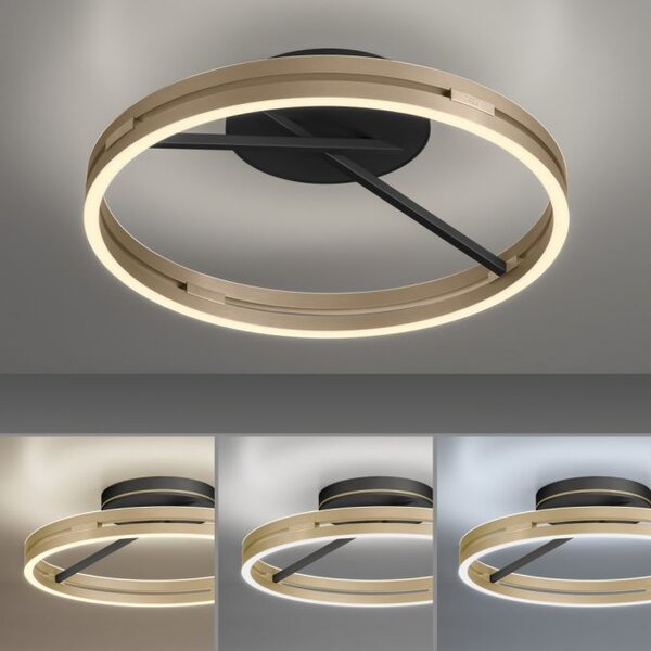 Paul Neuhaus Stropní LED svítidlo PURE Loop, pr.60cm, 7W+30W 2700-5000K, černá/zlatá slonová kost
