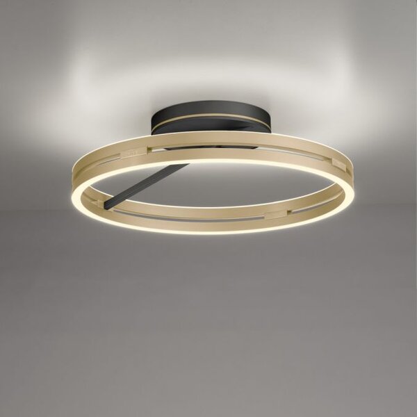 Paul Neuhaus Stropní LED svítidlo PURE Loop, pr.60cm, 7W+30W 2700-5000K, černá/zlatá slonová kost